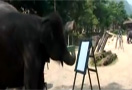 elefante